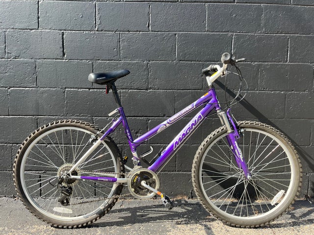 Magna great divide 24 inch bike on sale